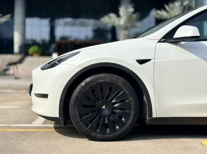 Model Y 2021 Model Standard Battery Life Rear-wheel drive version – фото 9
