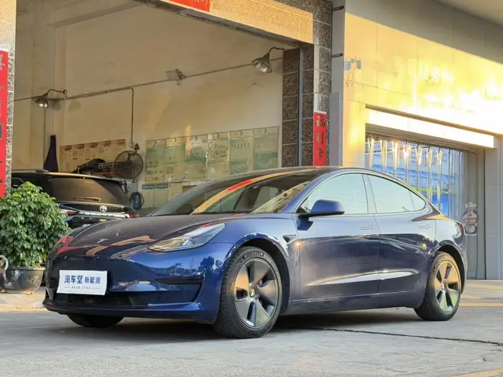 Model 3 2022 Model Rear-wheel drive version – фото 1
