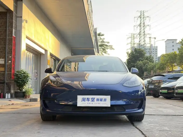 Model 3 2022 Model Rear-wheel drive version – фото 2