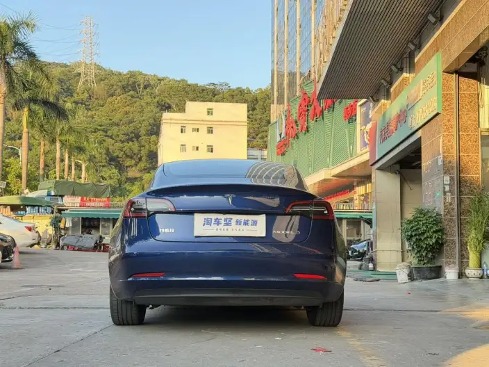 Model 3 2022 Model Rear-wheel drive version – фото 5