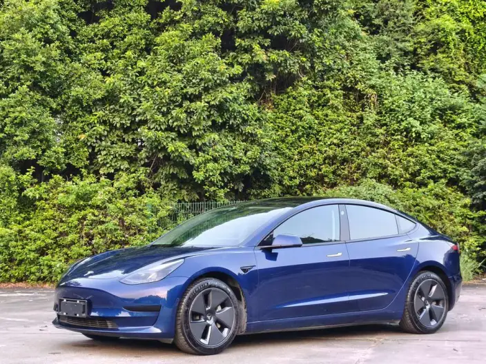 Model 3 2021 Model Standard Battery Life Rear Drive L Class Edition 3D1