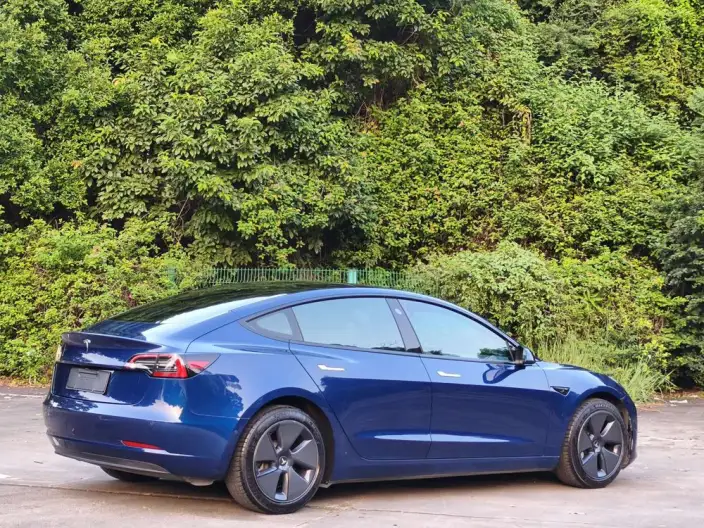 Model 3 2021 Model Standard Battery Life Rear Drive L Class Edition 3D1 – фото 7
