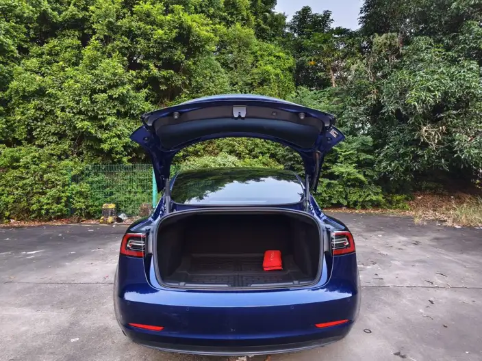 Model 3 2021 Model Standard Battery Life Rear Drive L Class Edition 3D1 – фото 8