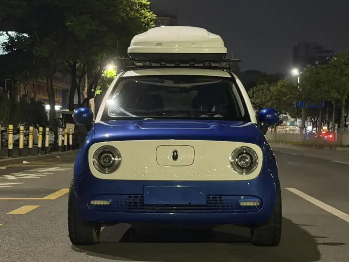 ORA Black Cat 2021 Model 351km Standard Model – фото 2