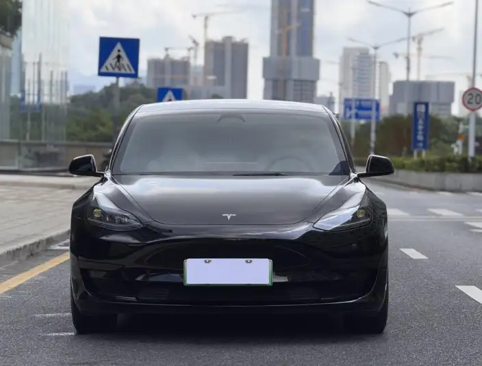 Model 3 2022 Model Rear-wheel drive version – фото 2