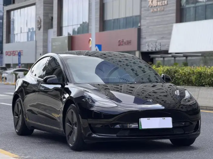 Model 3 2022 Model Rear-wheel drive version – фото 3