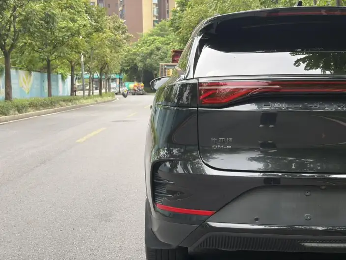 BYD Tang DM 2024 Model DM-p 215KM 4WD God of War Edition – фото 8
