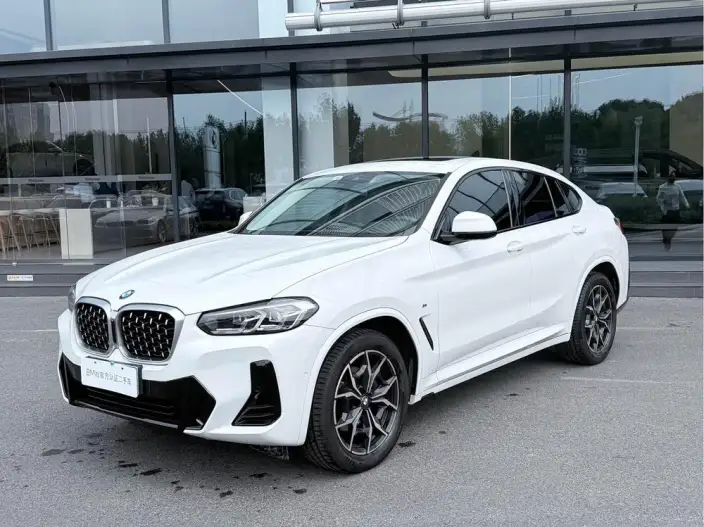 BMW X4 2022 Model xDrive 25i M Sports Set – фото 1