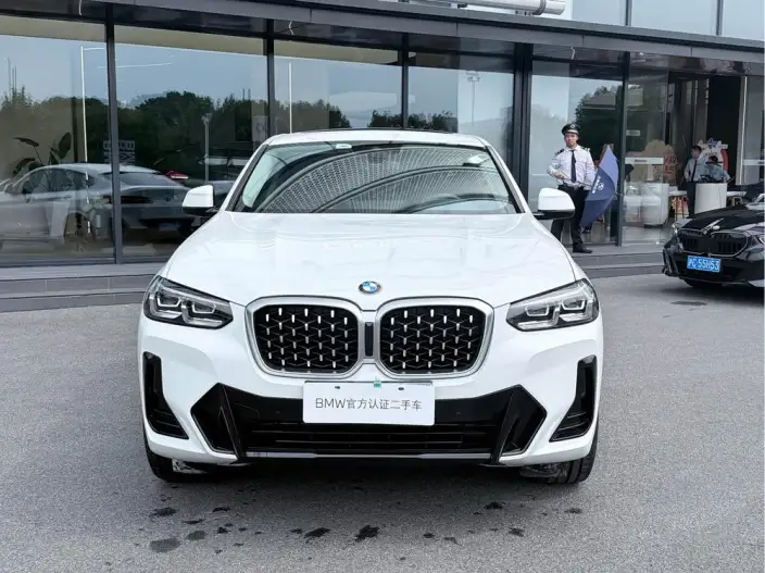 BMW X4 2022 Model xDrive 25i M Sports Set – фото 2