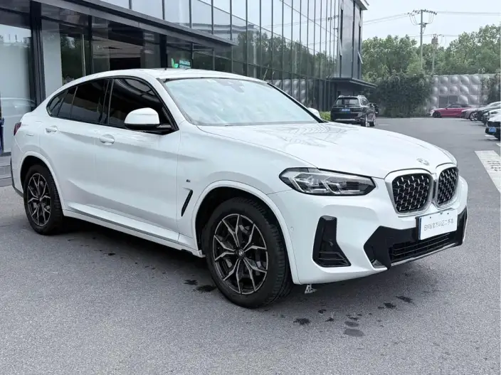 BMW X4 2022 Model xDrive 25i M Sports Set – фото 3