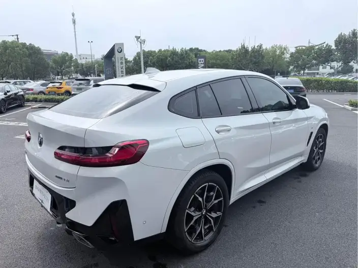 BMW X4 2022 Model xDrive 25i M Sports Set – фото 6