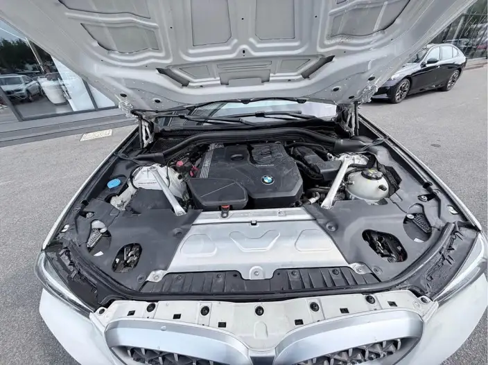 BMW X4 2022 Model xDrive 25i M Sports Set – фото 7