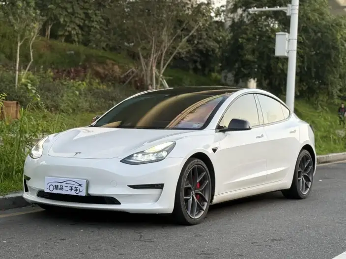 Model 3 2022 Model Performance High performance All-wheel drive version – фото 1
