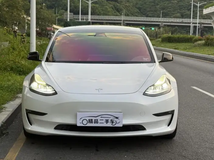 Model 3 2022 Model Performance High performance All-wheel drive version – фото 2