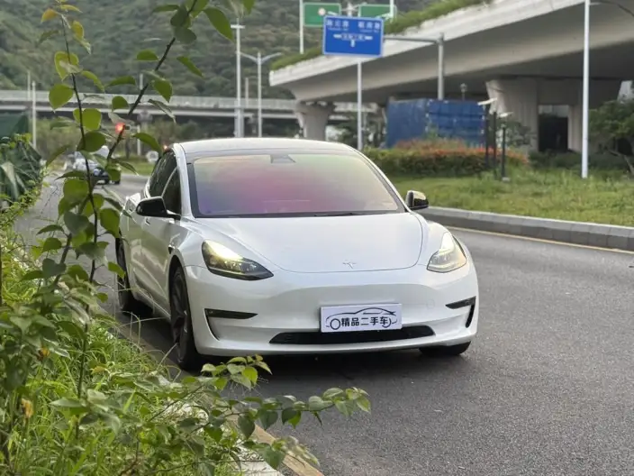 Model 3 2022 Model Performance High performance All-wheel drive version – фото 3