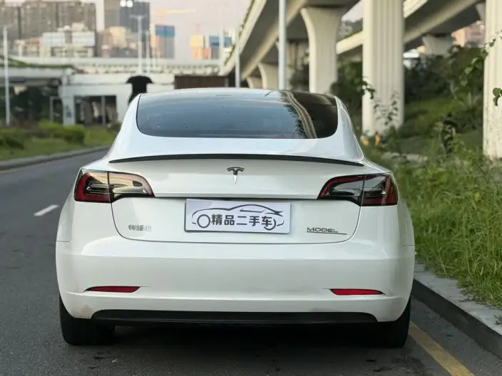 Model 3 2022 Model Performance High performance All-wheel drive version – фото 6