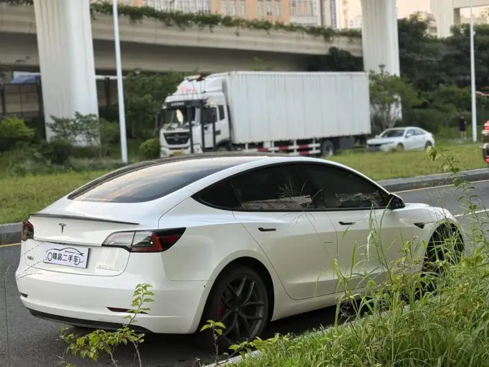 Model 3 2022 Model Performance High performance All-wheel drive version – фото 7