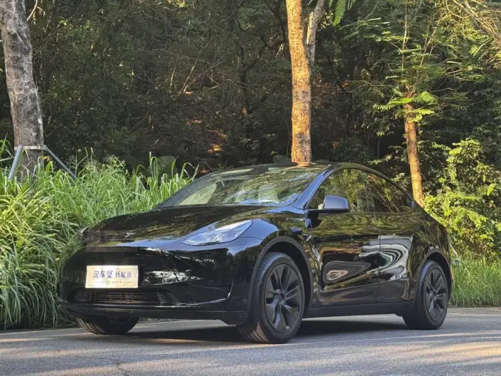 Model Y 2023 Model Rear-wheel drive version – фото 1
