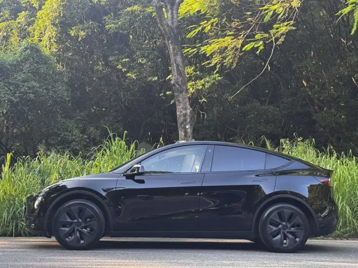 Model Y 2023 Model Rear-wheel drive version – фото 3
