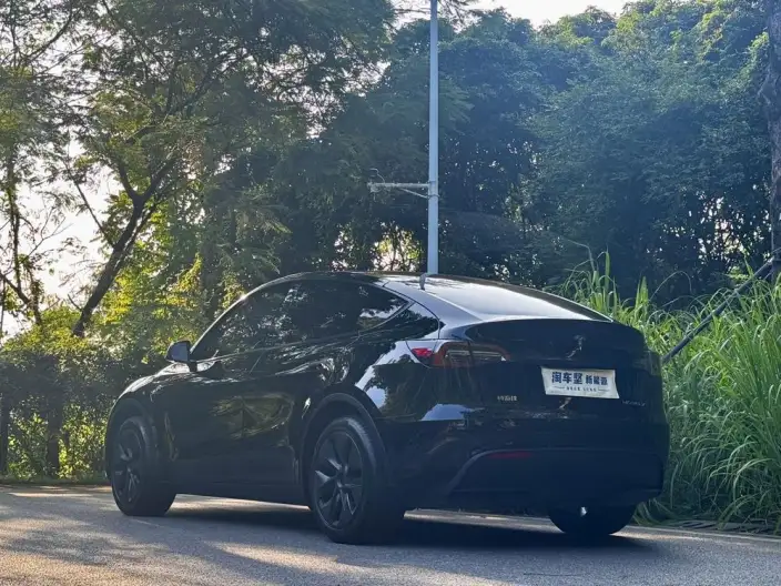 Model Y 2023 Model Rear-wheel drive version – фото 4