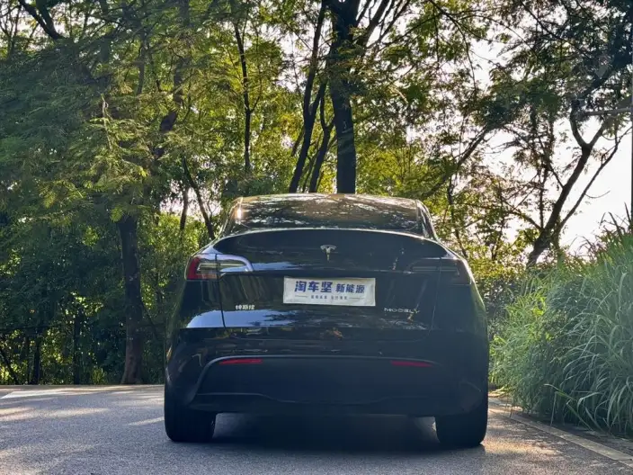 Model Y 2023 Model Rear-wheel drive version – фото 5