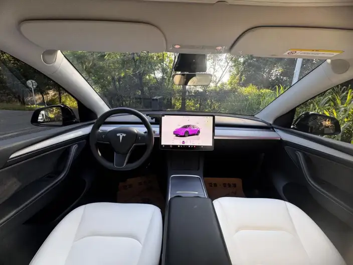 Model Y 2023 Model Rear-wheel drive version – фото 10