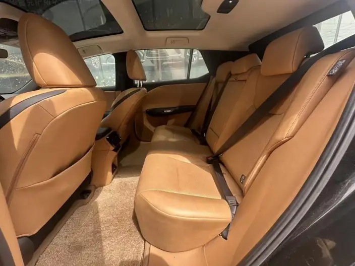 Lexus RZ 2023 Model 450e DIRECT4 Indulgent Edition – фото 10