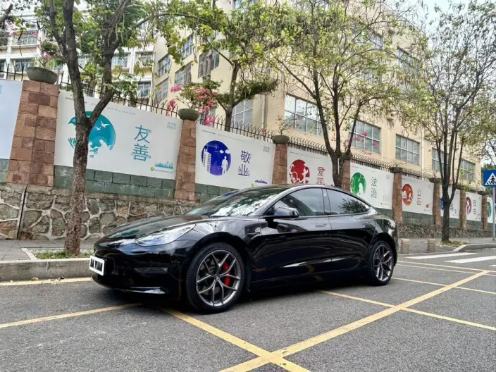 Model 3 2022 Model Performance High performance All-wheel drive version – фото 1
