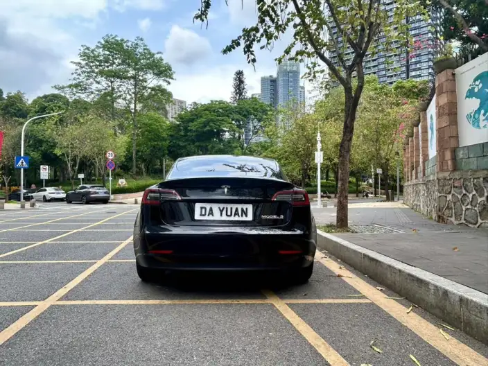 Model 3 2022 Model Performance High performance All-wheel drive version – фото 6