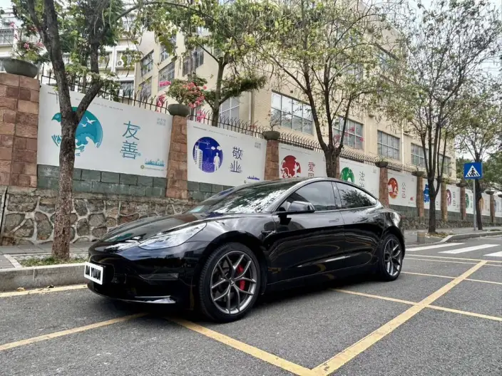 Model 3 2022 Model Performance High performance All-wheel drive version – фото 9