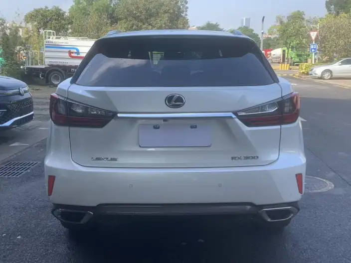Lexus RX 2020 Model Facelift 300 4WD Elegant Edition – фото 5