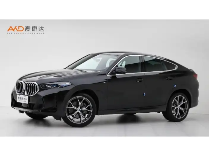 BMW X6 2023 Model xDrive40i M Sports Set – фото 1