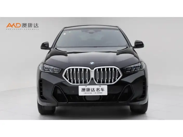 BMW X6 2023 Model xDrive40i M Sports Set – фото 2