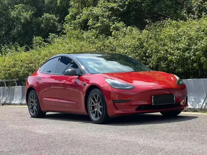 Model 3 2022 Model Rear-wheel drive version – фото 3