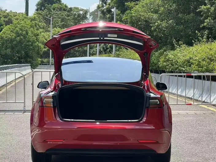 Model 3 2022 Model Rear-wheel drive version – фото 5