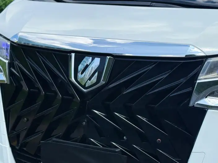 Vellfire 2020 Model Hybrid 2.5L HV Premium Edition – фото 9