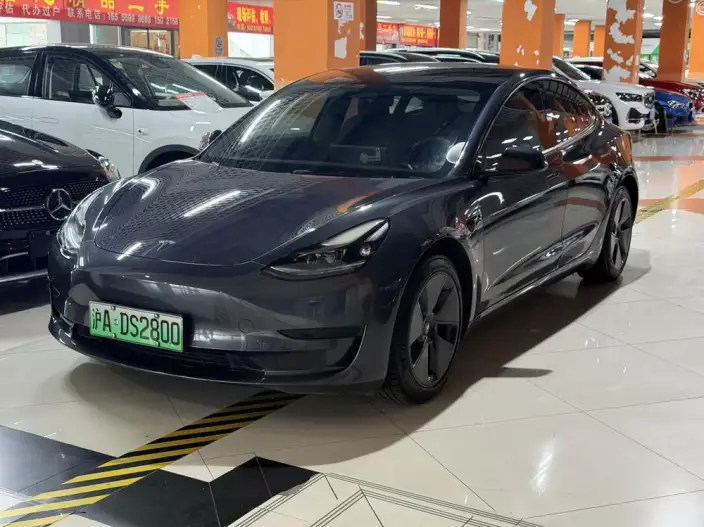 Model 3 2020 Model Facelift Long Battery Life Pro Rear-wheel drive version – фото 1