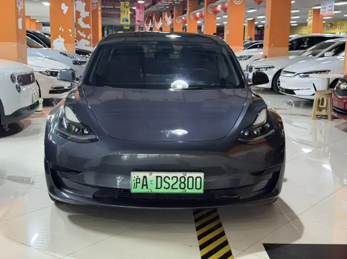 Model 3 2020 Model Facelift Long Battery Life Pro Rear-wheel drive version – фото 2