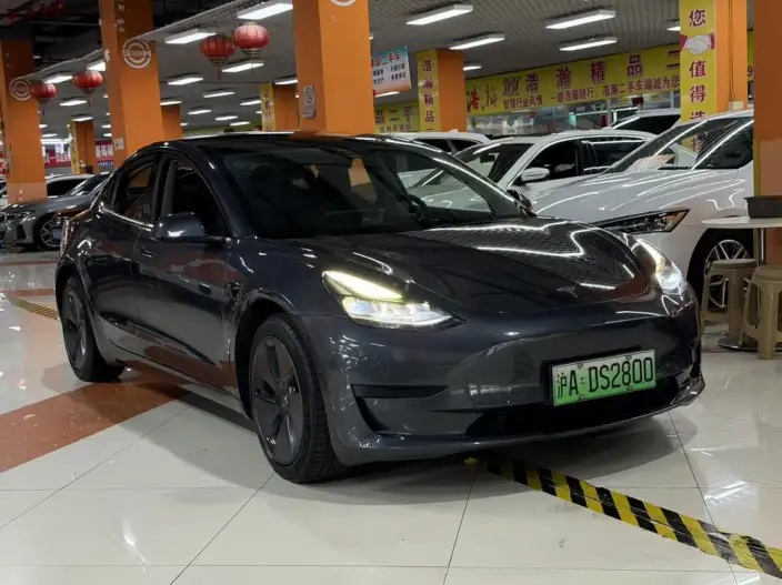 Model 3 2020 Model Facelift Long Battery Life Pro Rear-wheel drive version – фото 3