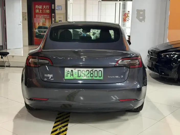 Model 3 2020 Model Facelift Long Battery Life Pro Rear-wheel drive version – фото 5