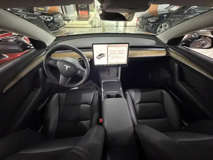 Model 3 2020 Model Facelift Long Battery Life Pro Rear-wheel drive version – фото 8