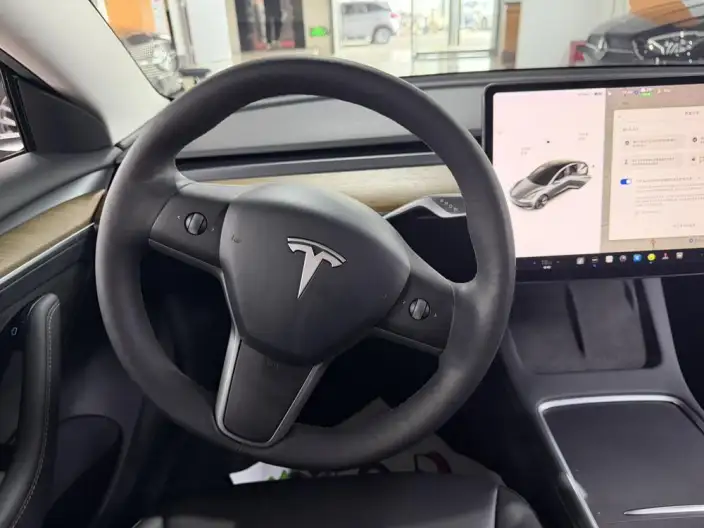 Model 3 2020 Model Facelift Long Battery Life Pro Rear-wheel drive version – фото 9