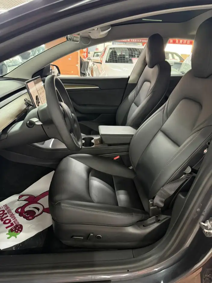 Model 3 2020 Model Facelift Long Battery Life Pro Rear-wheel drive version – фото 10