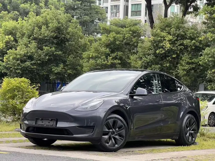 Model Y 2024 Model Rear-wheel drive version – фото 1