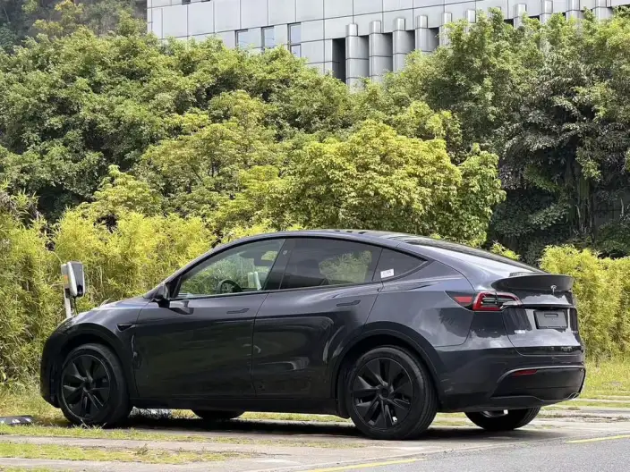 Model Y 2024 Model Rear-wheel drive version – фото 4