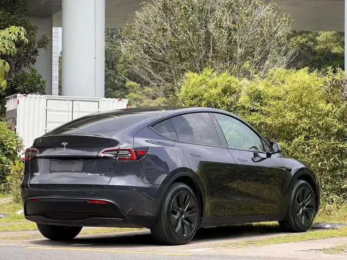 Model Y 2024 Model Rear-wheel drive version – фото 6