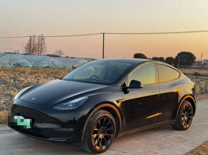 Model Y 2022 Model Long Battery Life Pro All-wheel drive version – фото 1