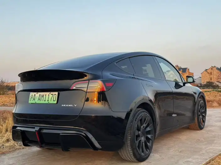 Model Y 2022 Model Long Battery Life Pro All-wheel drive version – фото 4
