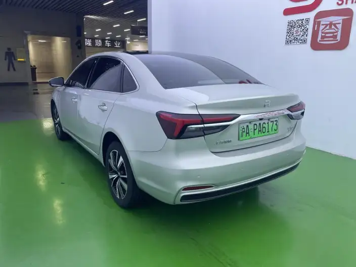 Feifan ER6 2020 Model 620km Smart Edition – фото 4
