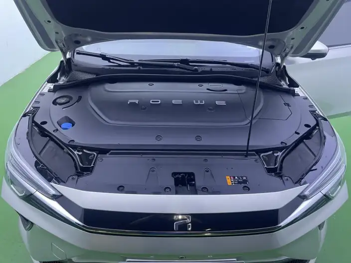 Feifan ER6 2020 Model 620km Smart Edition – фото 7